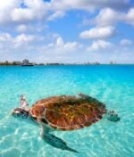 Beneficios ambientales y económicos de instalar barreras de contención de sargazo