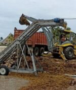 Cómo implementar un programa eficiente de limpieza de playa: guía para hoteles y municipios